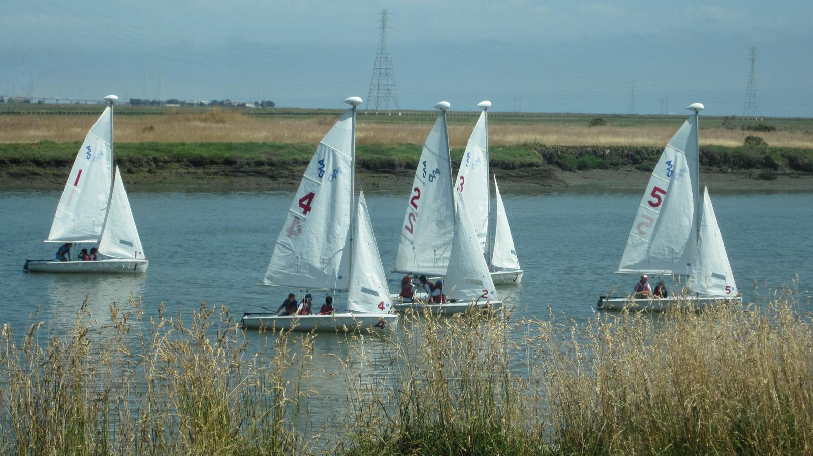 Students in small numbered sailing dinghies during a lesson